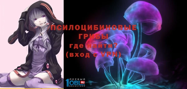 прущие крисы Абинск