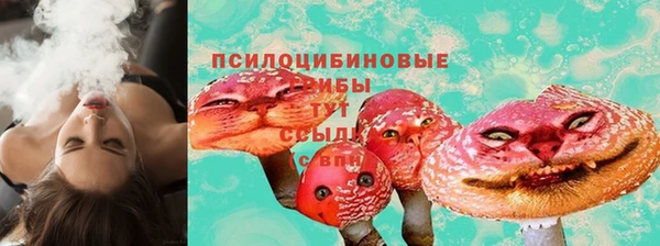 прущие крисы Абинск