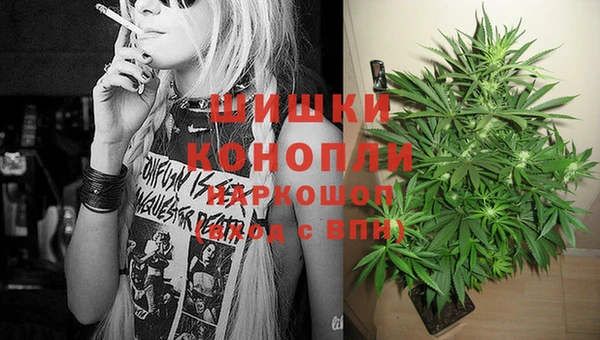 спайс Алексин